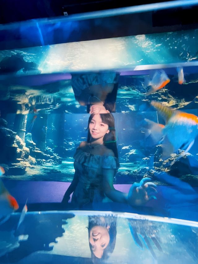 武漢夢幻地｜墜入深海夢境