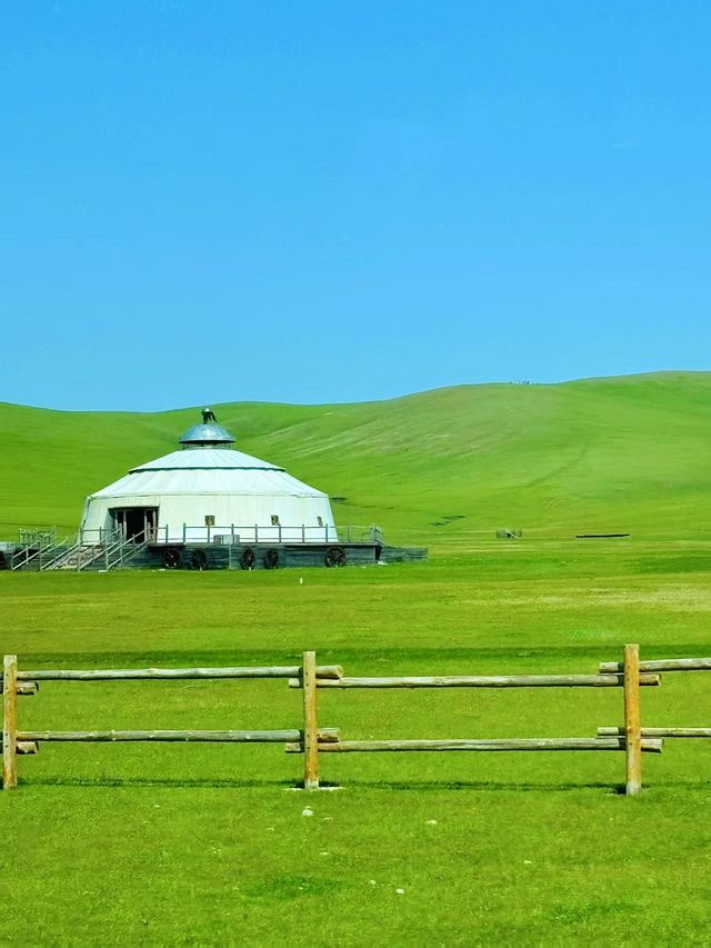 25℃嘅呼倫貝爾！呢個先係夏天應有嘅模樣