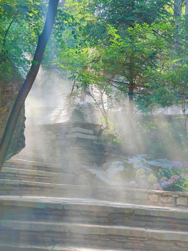 邊個話坡峰嶺得秋天先有紅葉睇？！夏天嚟玩都正到爆！