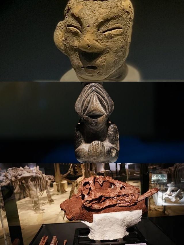 上博新展「龍騰中國」：解鎖展覽邏輯與看點