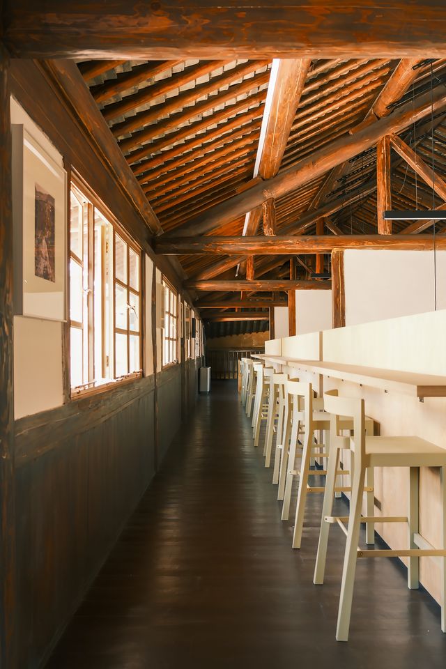 莫干山新店！百年梧桐樹下嘅老宅茶咖店