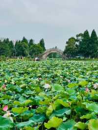 雨季來臨嘅南昌，藏住最詩意嘅夏天~