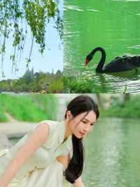 揚州暑期親子遊，慢生活與文化的完美邂逅