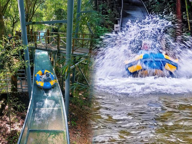 桐廬OMG心跳樂園