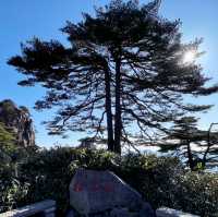 【世界遺産 黄山🏔️】山頂ホテルで1泊🏨黄山旅行