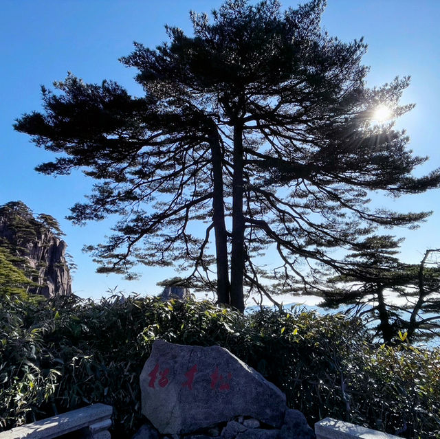 【世界遺産 黄山🏔️】山頂ホテルで1泊🏨黄山旅行