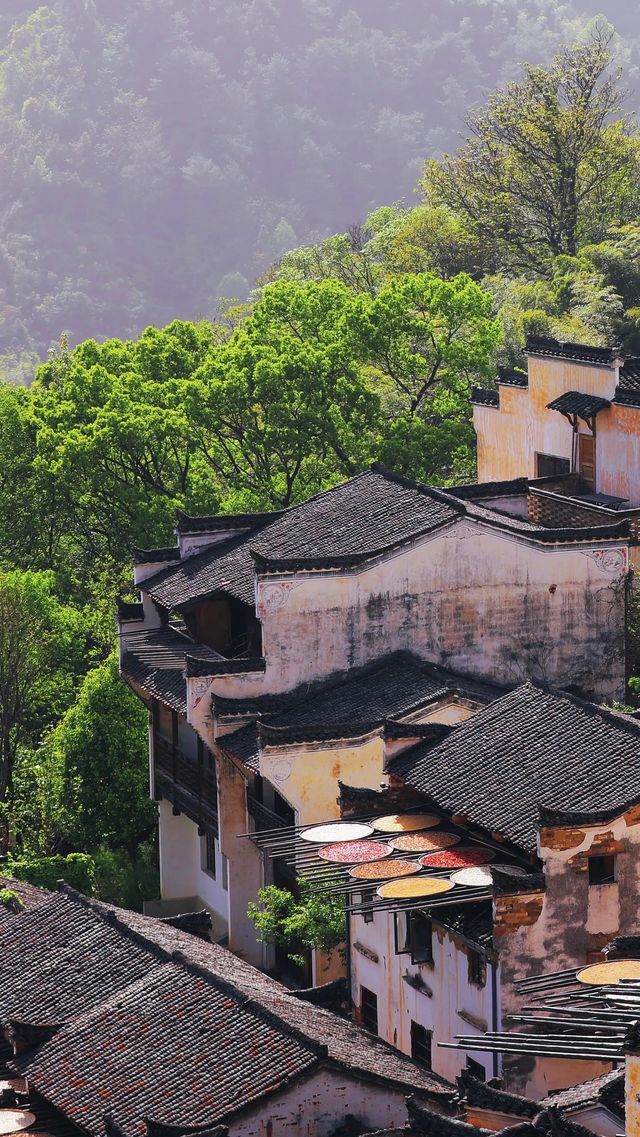 江西婺源，一座隱藏於半山腰嘅世外古村！