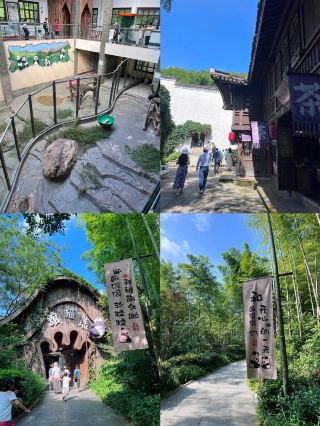 Complete Guide to the Bamboo Sea Secret Realm