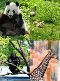 西安秦嶺雙線遊！探訪可愛動物，爬山追逐晚霞。
