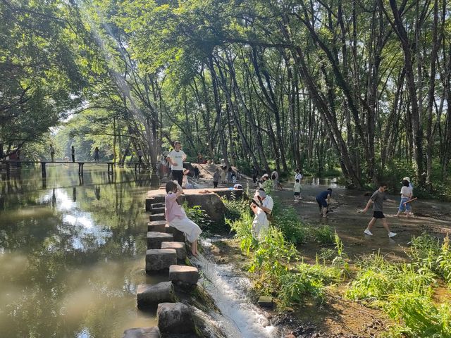 夏日消暑指南 | 黃山米瀾酒店+玩水攻略