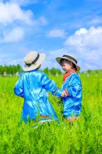 鋪向天際的綠野詩篇 邂逅北疆最溫柔的夏天