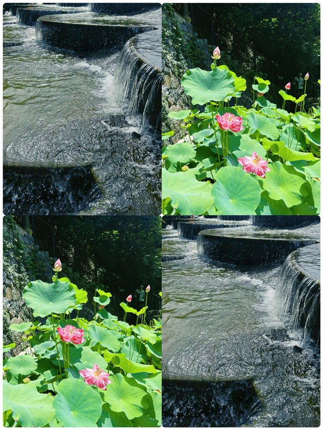 莫干山玩咗3日,我嘅消費觀崩塌咗 莫干山玩咗3日,我嘅消費觀崩塌咗