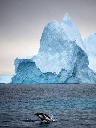Silver Endeavour: The Ultimate Luxury Cruise to Antarctica's Three Islands