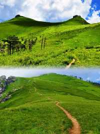 根本抗拒唔到夏天嘅鹿角梁,實在太靚啦