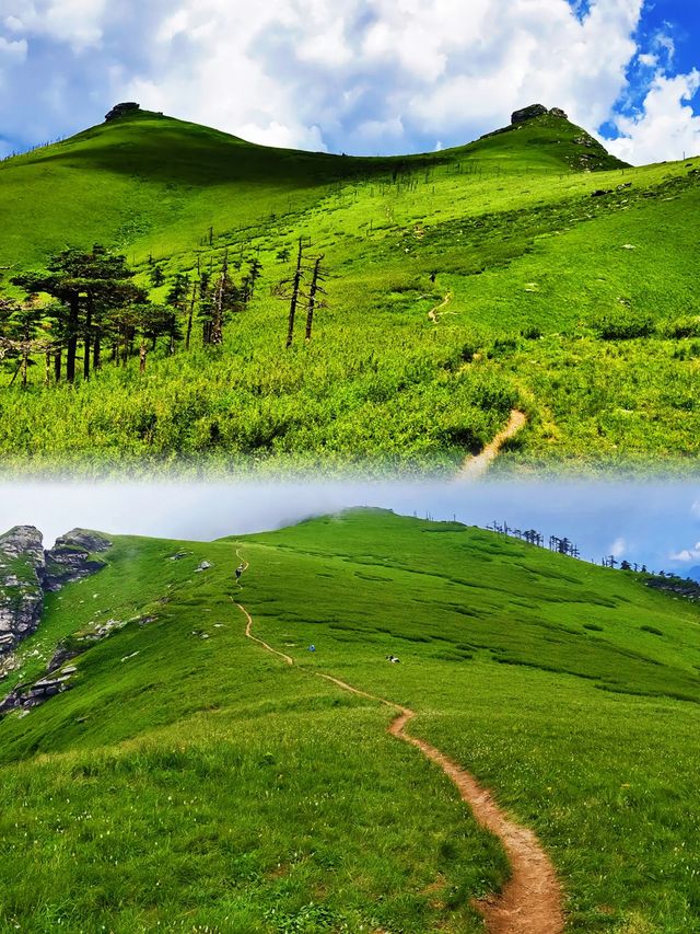 根本抗拒唔到夏天嘅鹿角梁,實在太靚啦 根本抗拒唔到夏天嘅鹿角梁,實在太靚啦