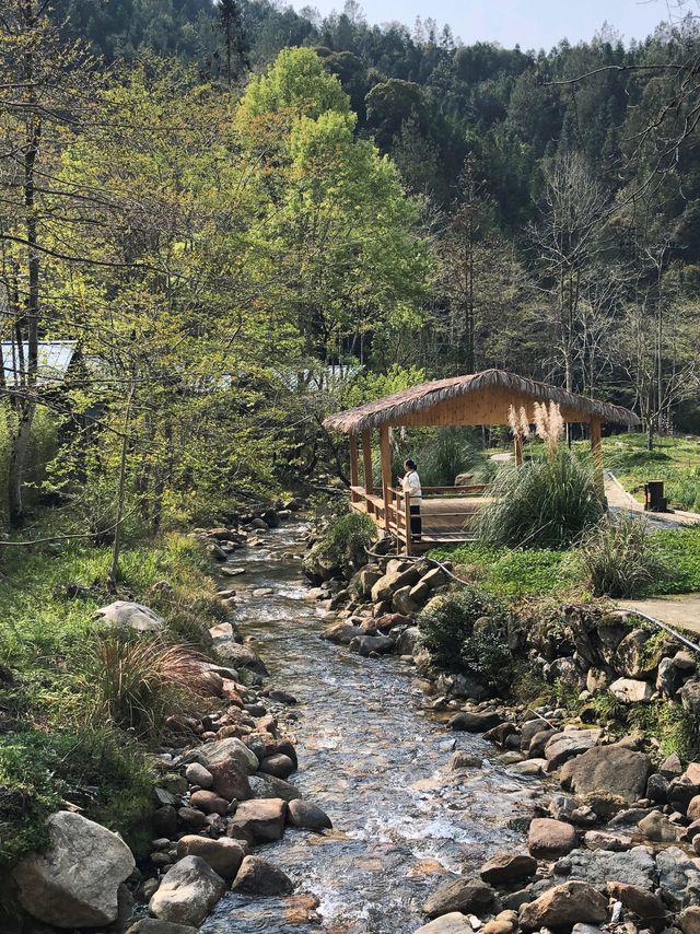 郴州23℃避暑秘境！溯溪漂流住森林木屋