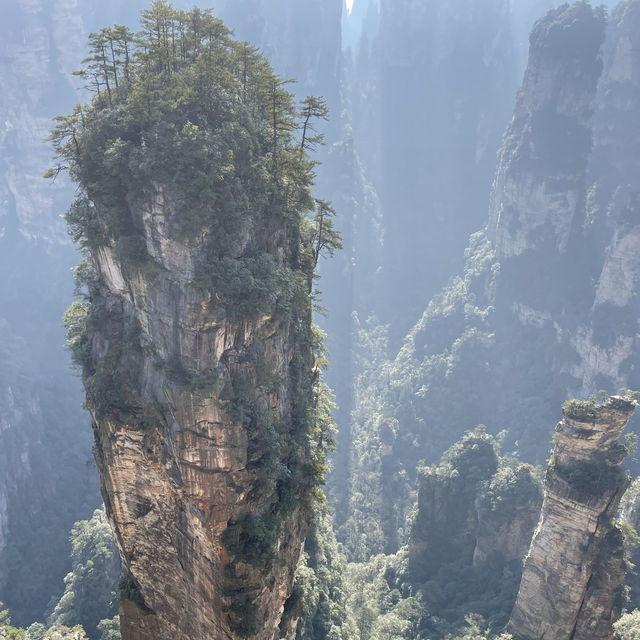 【中国 湖南省】世界遺産🌏 中国初の国家森林公園「張家界国家森林公園」✨🌲