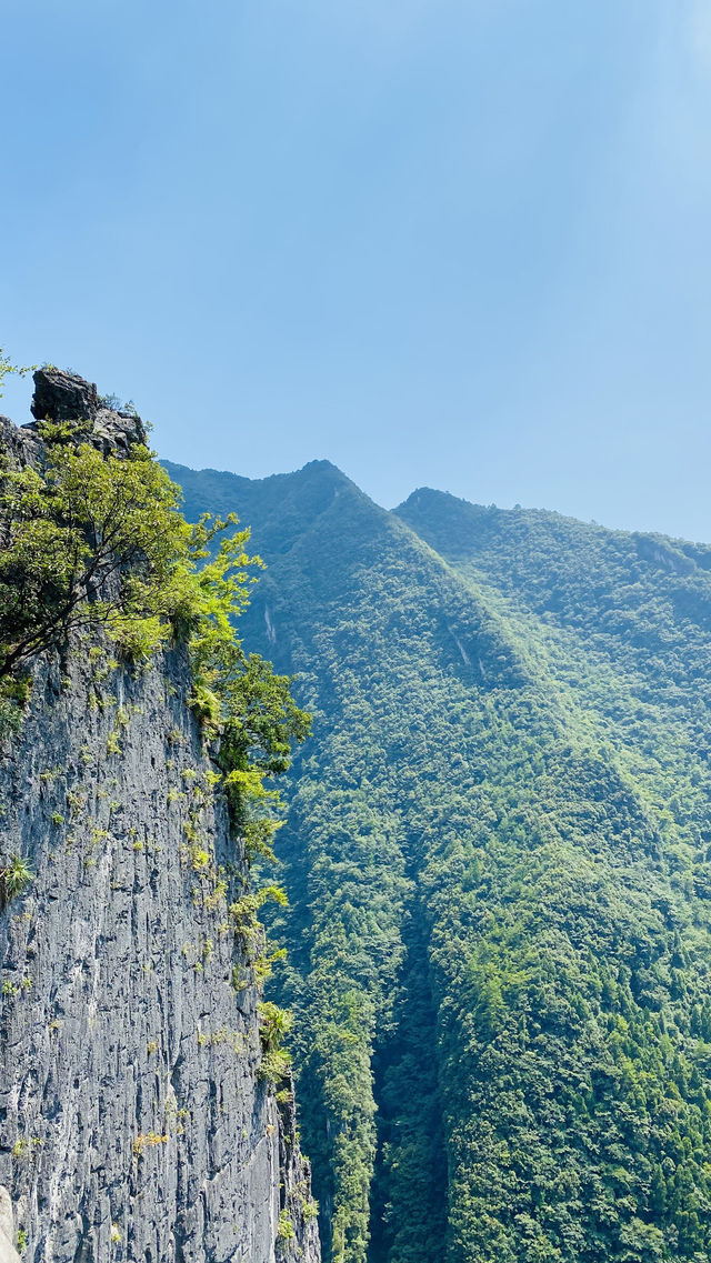 清涼避暑 山水重慶 絕密檔案 清涼避暑 山水重慶 絕密檔案