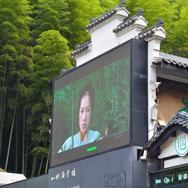 This is the Legendary Bamboo Forest of Crouching Tiger