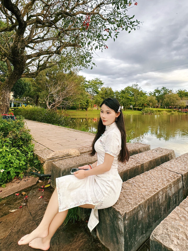 普洱五湖濕地公園｜漫步吸氧天堂，拍照散步絕了！