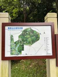 Morning Escape at Bijiashan Park, Shenzhen