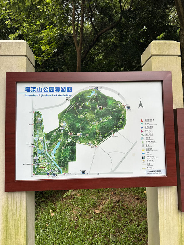 Morning Escape at Bijiashan Park, Shenzhen Morning Escape at Bijiashan Park, Shenzhen