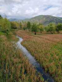 The "Grass Sea" by Luguhu Lake​
