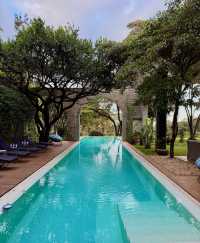 Unforgettable Stay at the Magical Manor