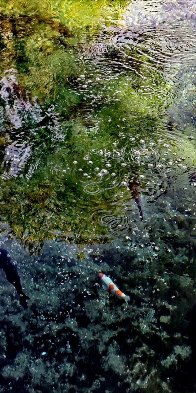 水邊古建拍照聖地