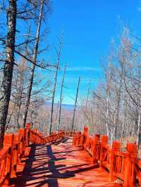 呼倫貝爾草原之旅｜從海拉爾到阿爾山，遇見醉美鄂溫克旗  這個秋天終於圓夢內蒙古大草原！從海拉爾出發