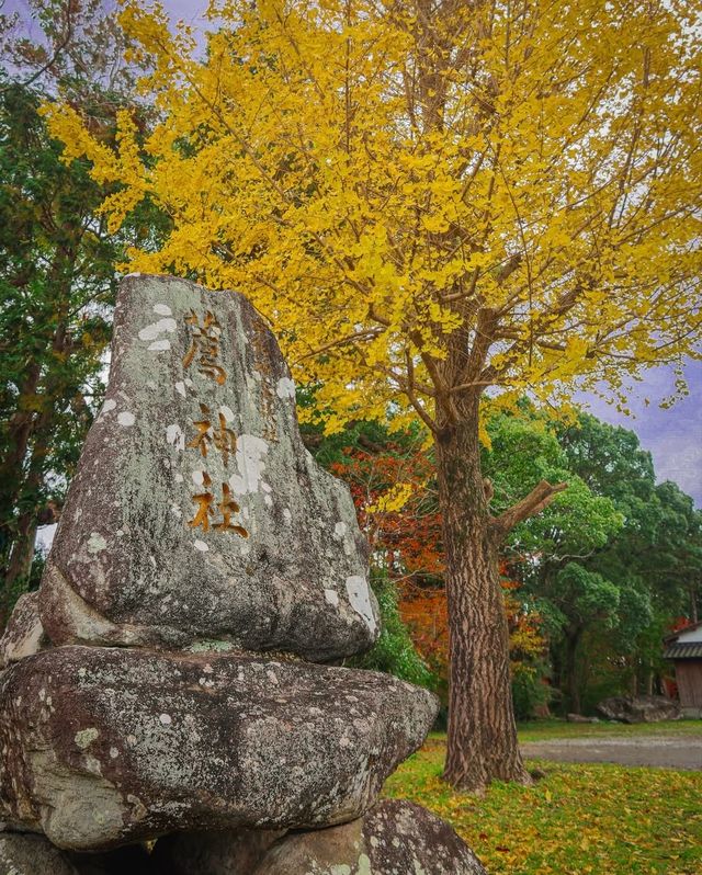 日本九州秘境｜宇佐神宮·三角池的千年神蹟