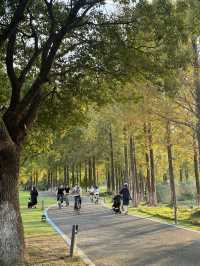 秋色湖景打卡聖地 東錢湖｜100次打卡都嫌不夠的寶藏地