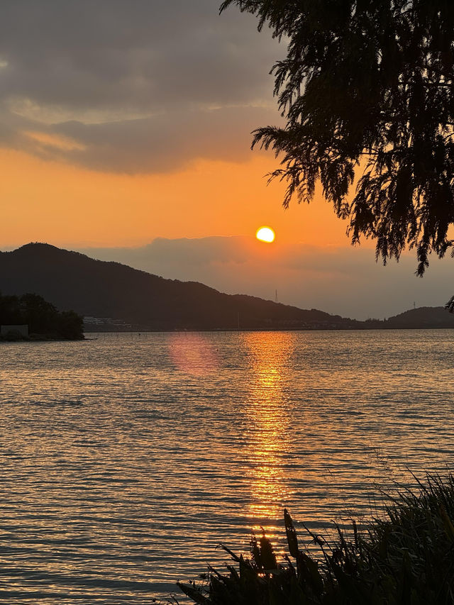 秋色湖景打卡聖地 東錢湖｜100次打卡都嫌不夠的寶藏地