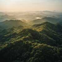 南京棲霞山 | 秋日限定童話世界，赴一場楓葉之約