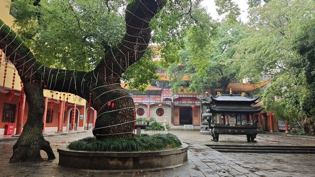 禪意千年佑民寺