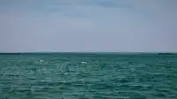 陝北塞外秘境｜中國最大沙漠淡水湖