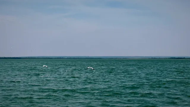 陝北塞外秘境｜中國最大沙漠淡水湖