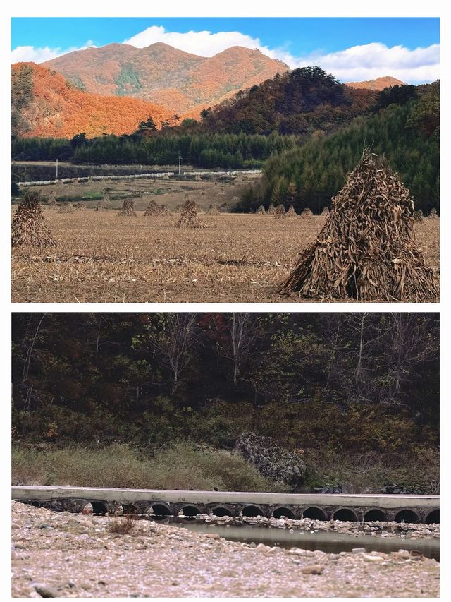 本溪楓葉「顏值巔峰」·【湖里畫家村】