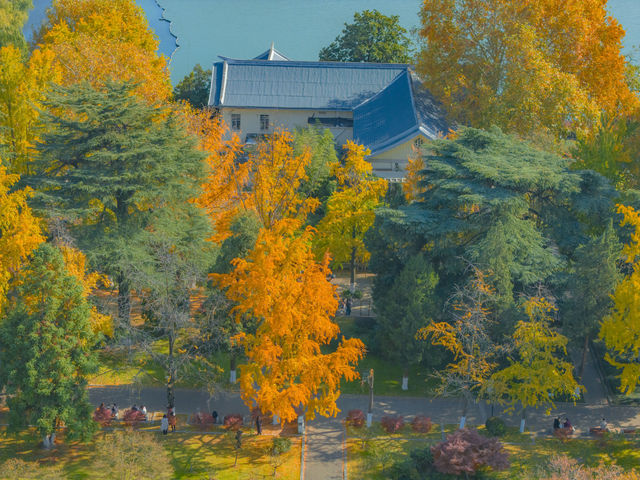 南京玄武湖公園拍照打卡，秋天來這裡感受湖邊的溫柔。