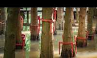 昆明被大部分人忽略的水杉公園 | 本地人私藏