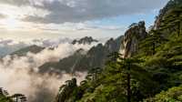 黃山景區範圍廣大，景點眾多，合理的路線是成功遊覽的關鍵。  經典一日遊路線（前山上，後山下，精力集中