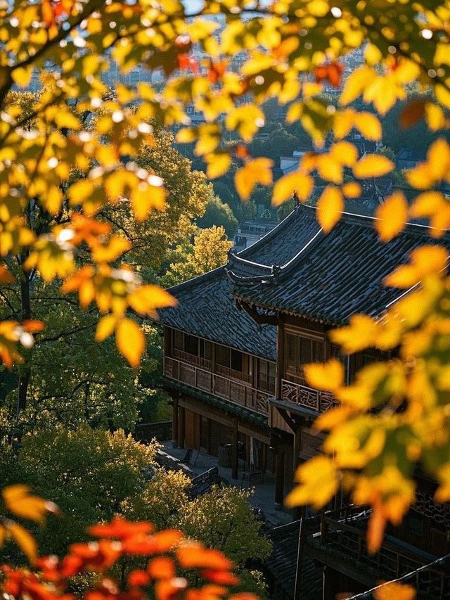 墜入秋天的童話天台山秋日漫遊指南