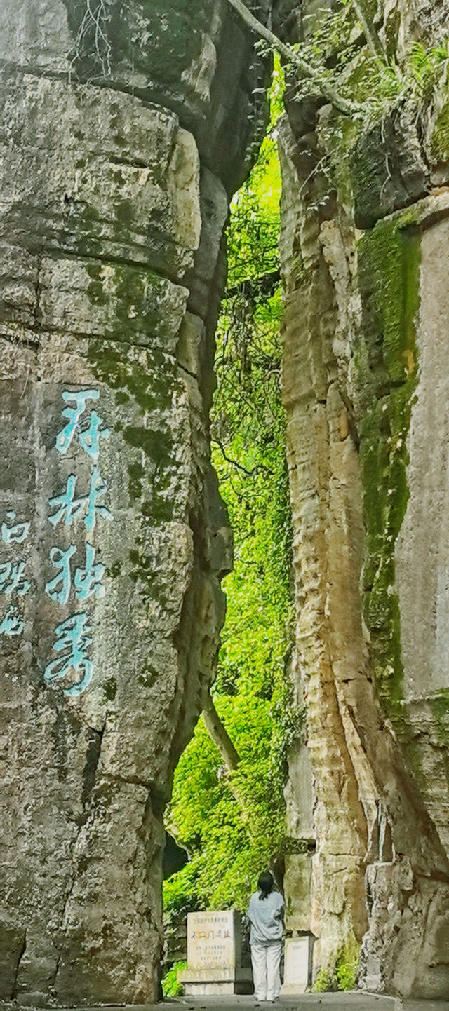湘西人的私藏秘境這個「小九寨溝」也太絕了吧! 湘西人的私藏秘境這個「小九寨溝」也太絕了吧!