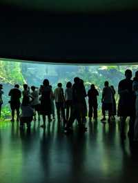 上海世博文化公園溫室花園超全攻略