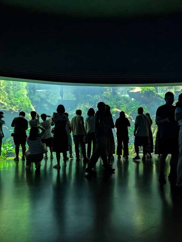 上海世博文化公園溫室花園超全攻略