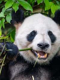 Как пользоваться картой «МИР» при поездке в Китай