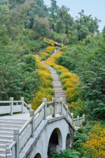山花燦爛正當時,955階登頂江夏龍泉山