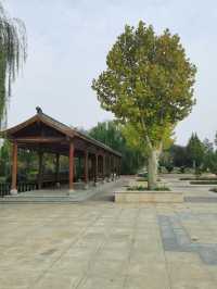 【河南省濮陽市】龍山公園。