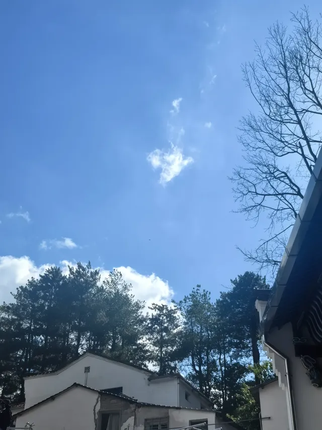 九華山百歲宮｜在雲端遇見600年不腐的“