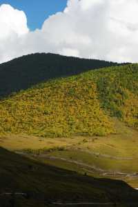 日落剪影絕美打卡點